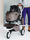 airbuggy dog stroller usa