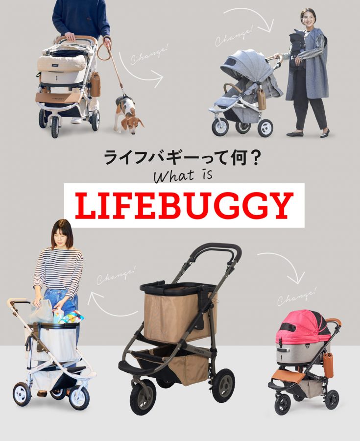 ライフバギーって何？