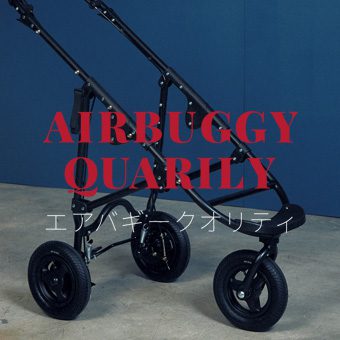 air buggy pet