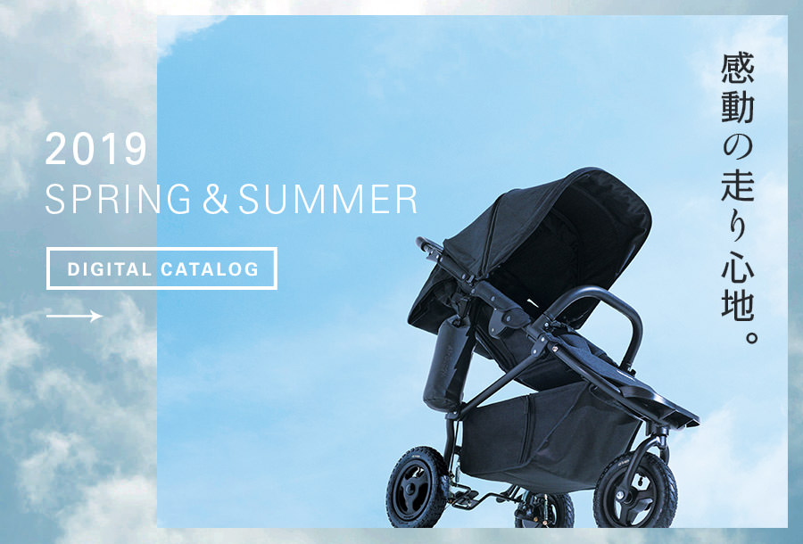 top travel system strollers 2019